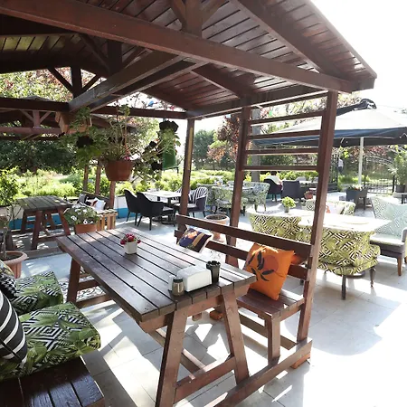 Turkuaz イスタンブール