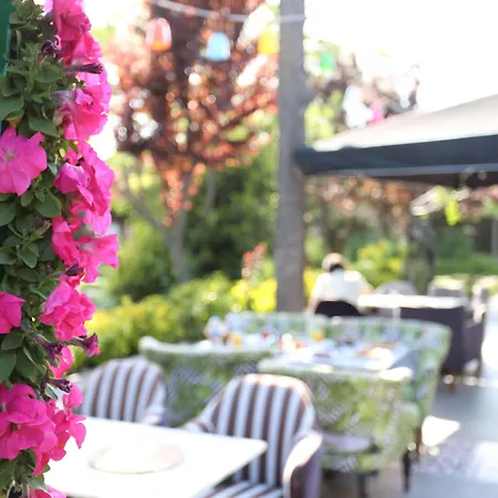 Turkuaz فندق اسطنبول