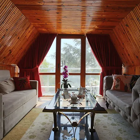 Turkuaz 4* Istambul
