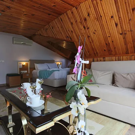 Turkuaz فندق اسطنبول