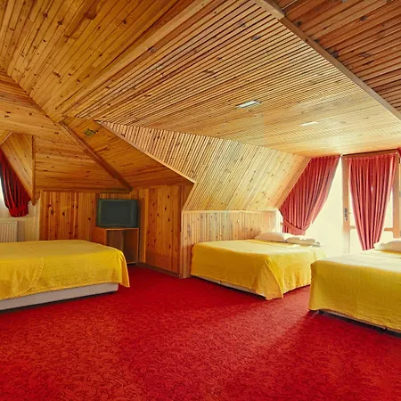 Turkuaz 4*